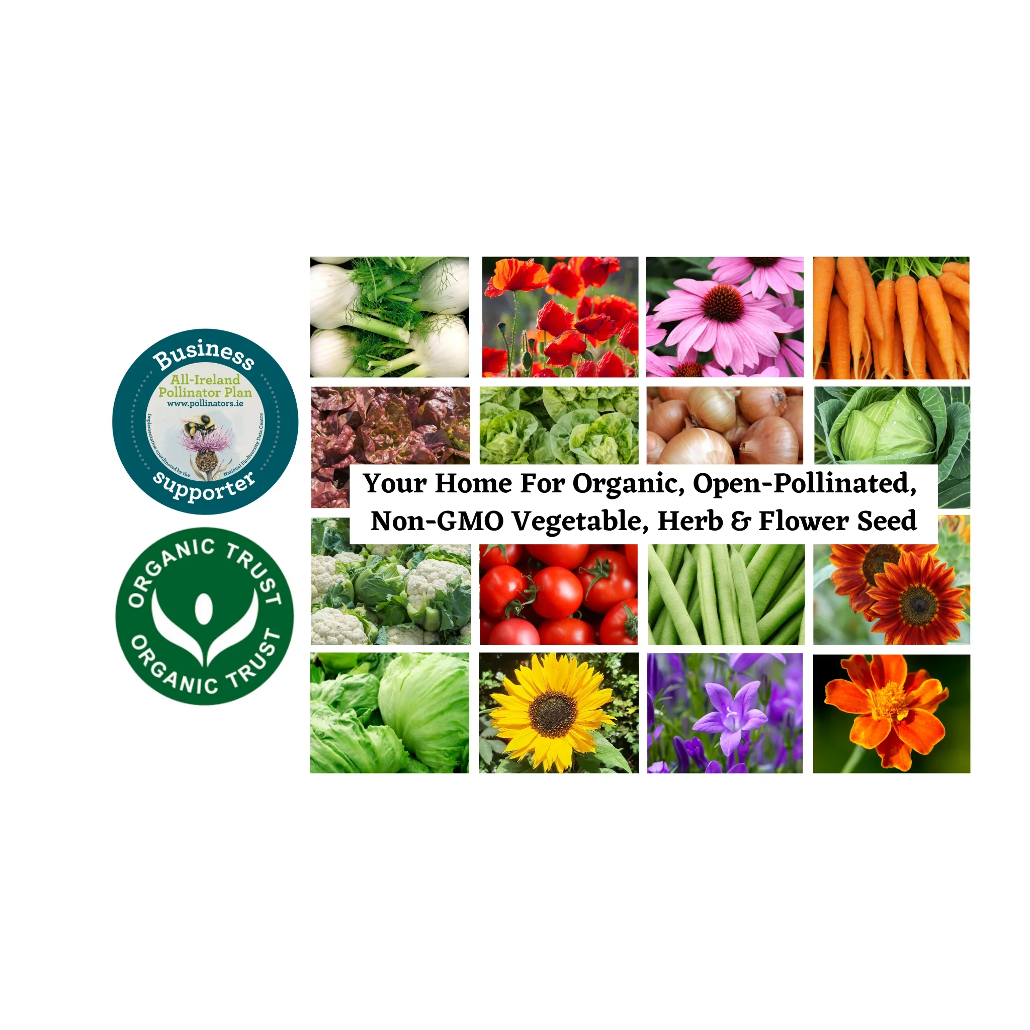 Grow Your Own Irish Garden